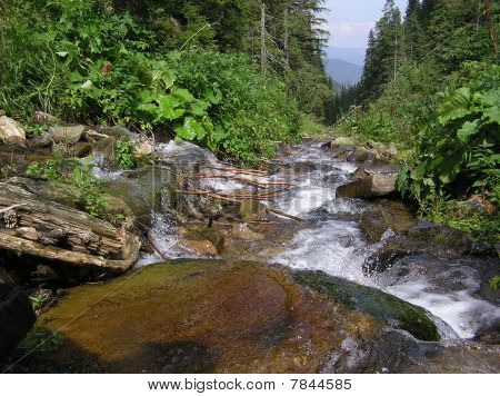 Bach im Sommer