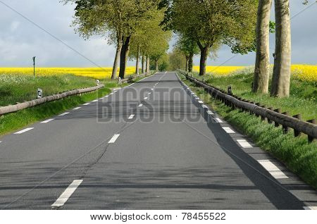 Ile De France, Maudetour, A Country Road In Val D Oise