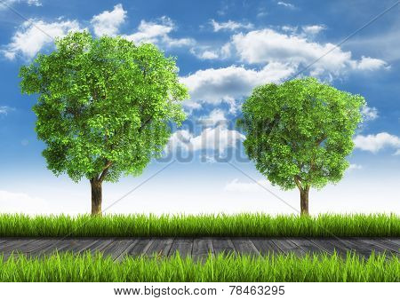 Tree on background with wooden planks and grass in front