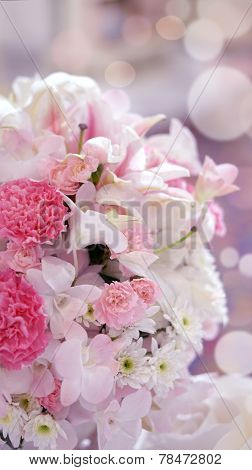 Roses Flower Wedding Valentine Background