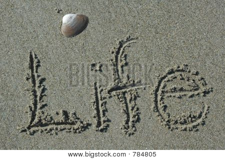 Sandwriting - elämä