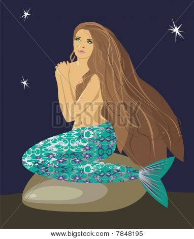 Sirena nella notte.