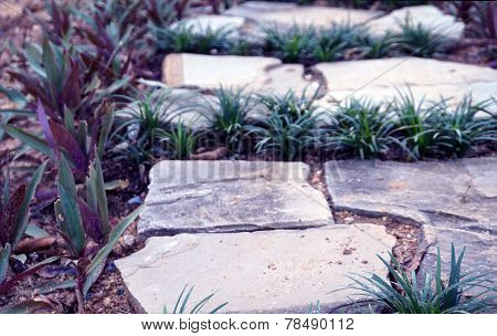 Garden Stone Paving Plant Decoration