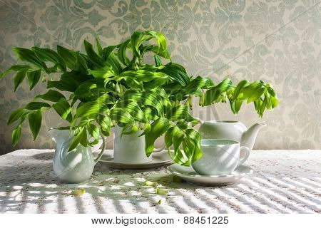 Still Life Bouquet Polygonatum White Crockery
