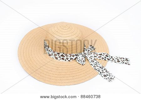 Feminine Women Hat