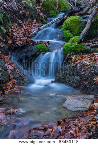 Forest water