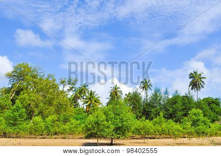 Sea and Sky