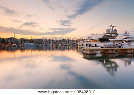 Zea marina, Athens.