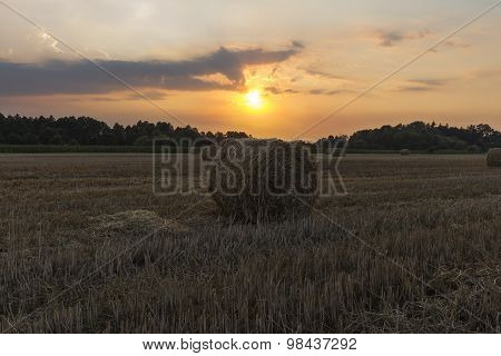 Sheaves of hay in the glow of the sunset
