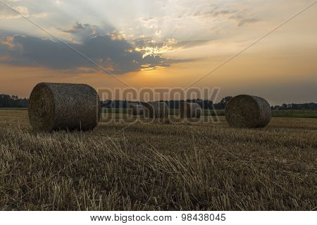 Sheaves of hay in the glow of the sunrise