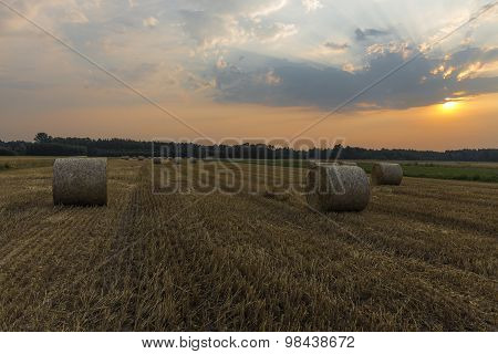Sheaves of hay in the glow of the sunrise
