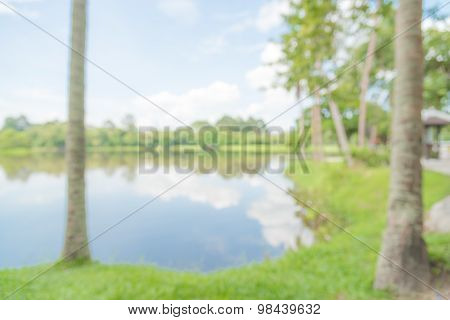 Blurry At The Lake
