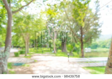 Blurry At The Garden