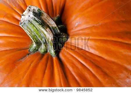 Calabaza V4