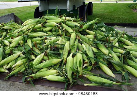 Pile of Corn