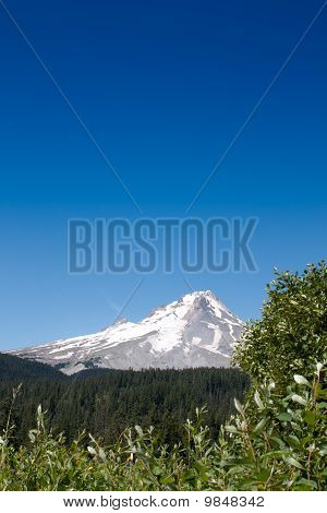 MT Hood