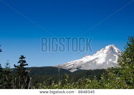 MT Hood