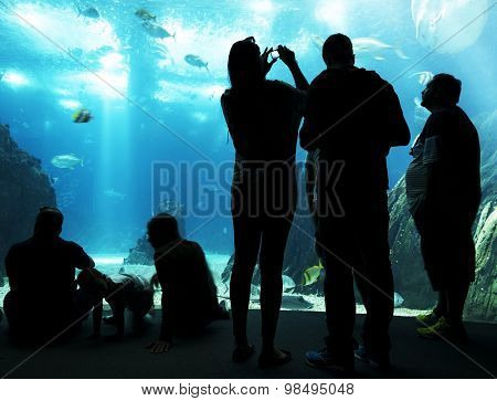 LISBON, PORTUGAL - June 12 2015: Interior view of the Lisbon Oceanario on June 12 2015 Lisbon, Portugal, Europe