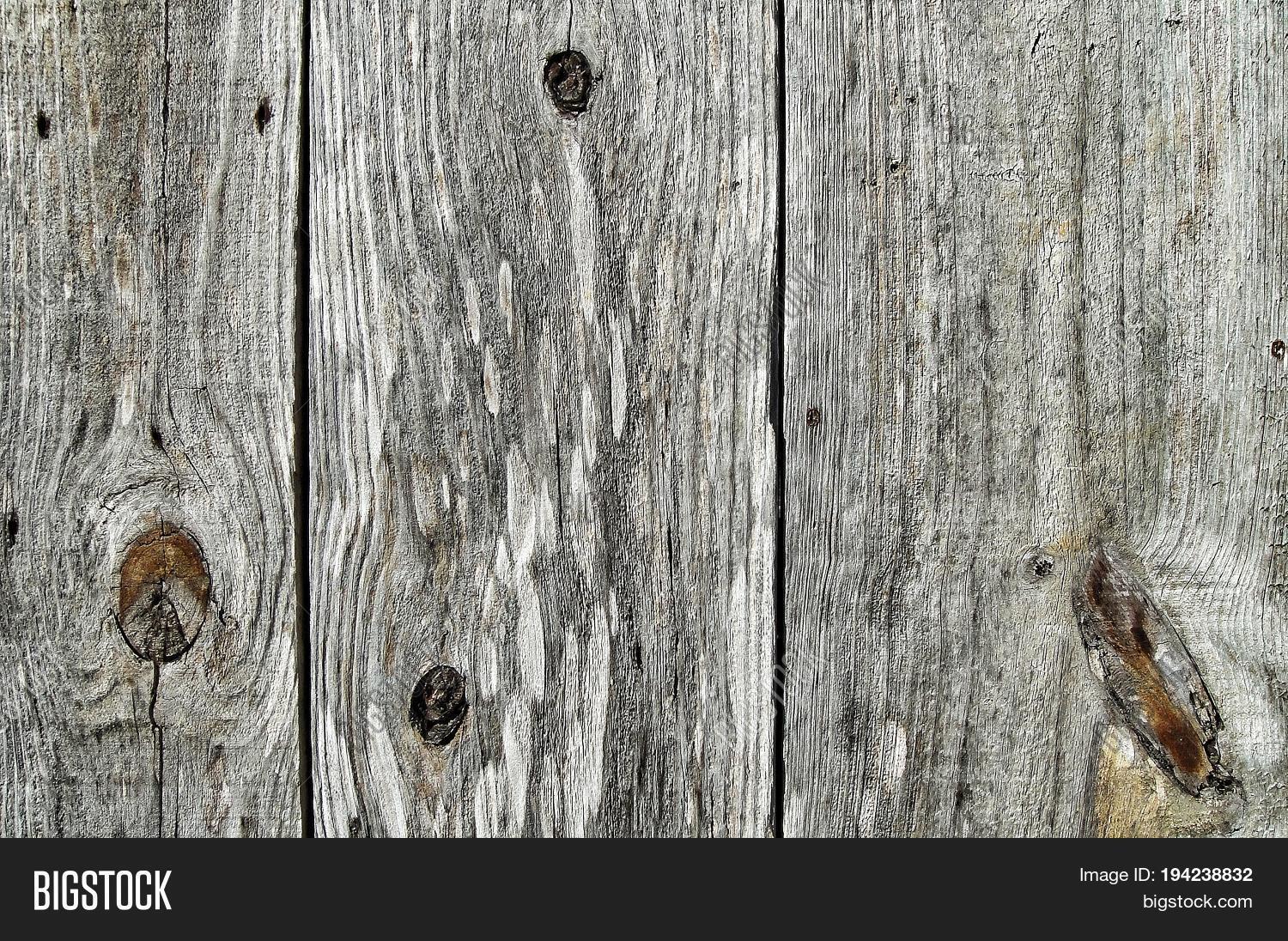 Wood Texture Gray Image Photo Free Trial Bigstock