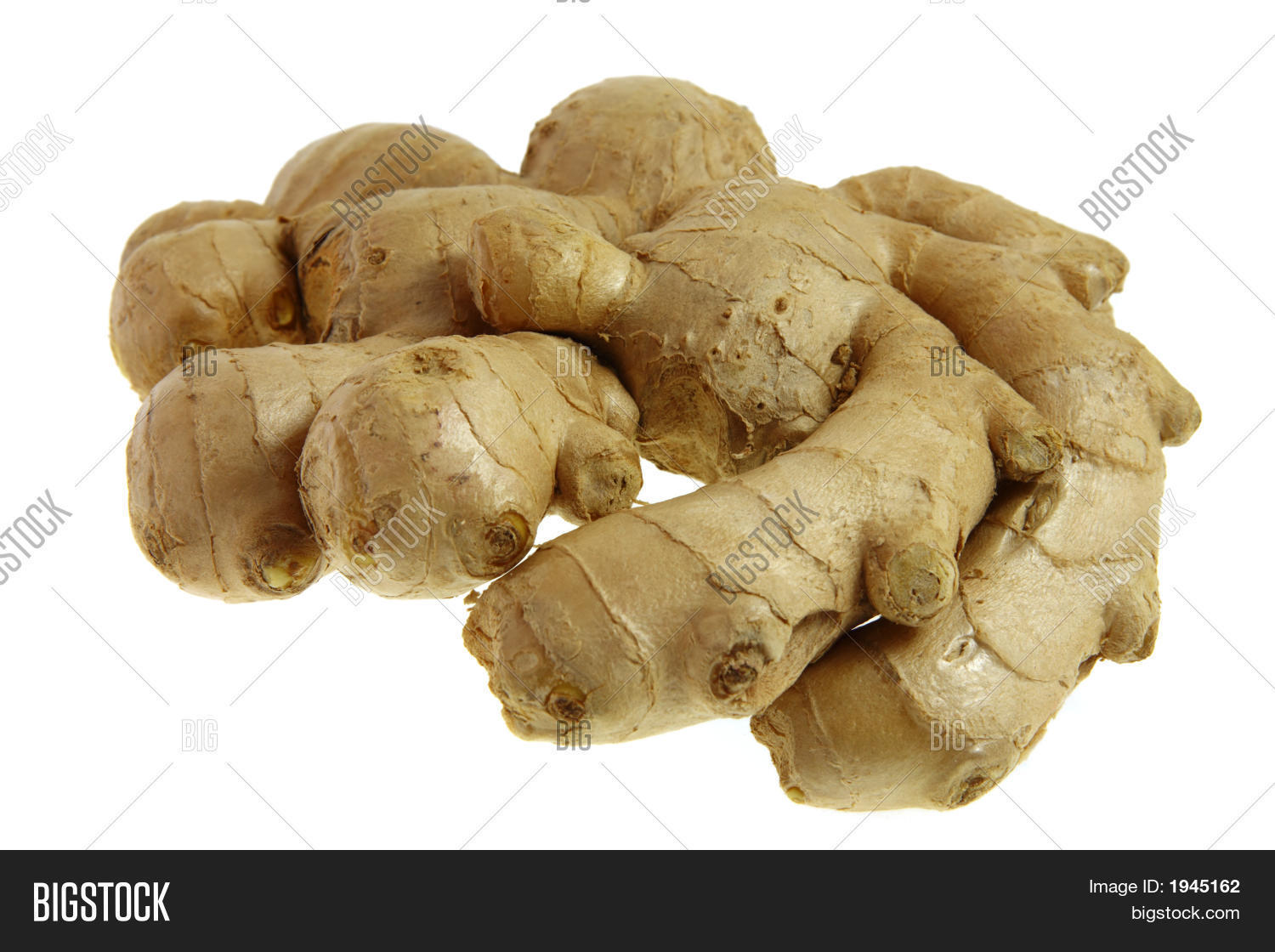 Ginger Root Figging