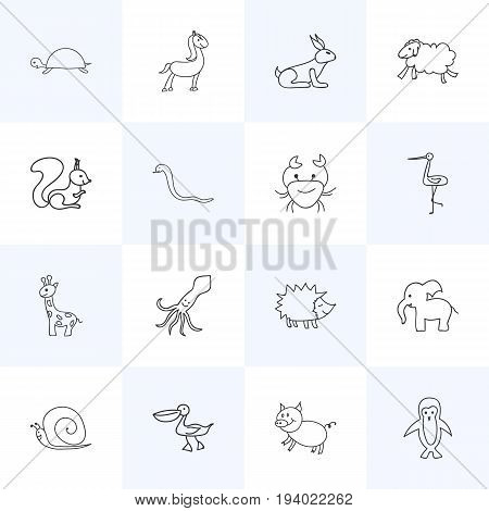 Set Of 16 Editable Zoology Icons. Includes Symbols Such As Tentacle, Shadoof, Ewe And More. Can Be Used For Web, Mobile, UI And Infographic Design.