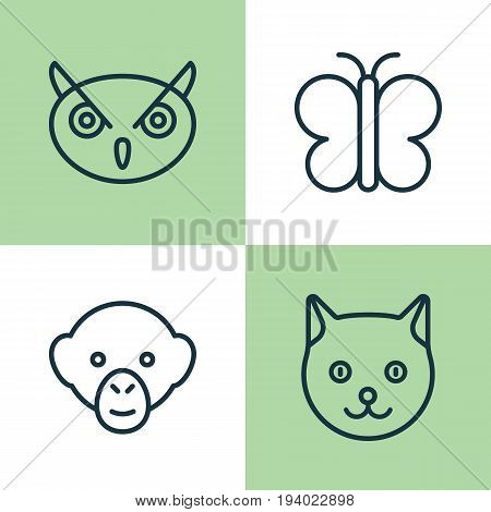 Zoo Icons Set. Collection Of Moth, Baboon, Kitten And Other Elements. Also Includes Symbols Such As Monkey, Chimpanzee, Owl.