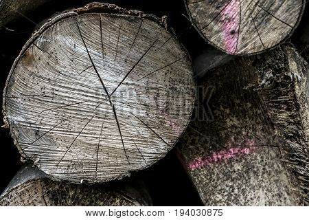 Abstract photo of a pile of natural wooden logs background dry chopped firewood logs ready for winter