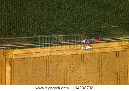 Aerial view of combine harvester unloading harvested wheat into agricultural tractors trailer wagon