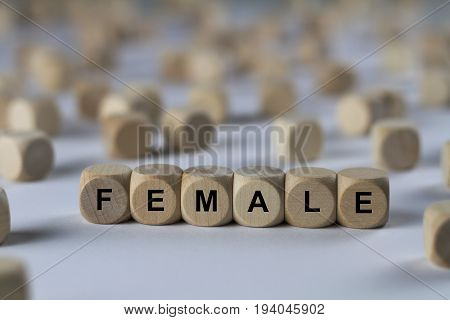 Female - Cube With Letters, Sign With Wooden Cubes