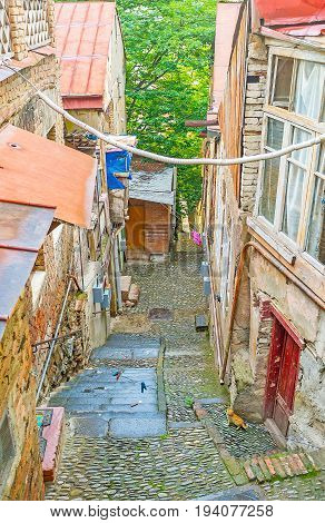 The Slums Of Tbilisi