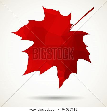 Triangular Maple Leaf