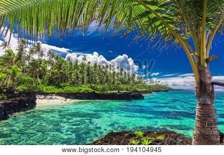 Beach with coral reef on south side of Upolu framed by palm leaves, Samoa Islands