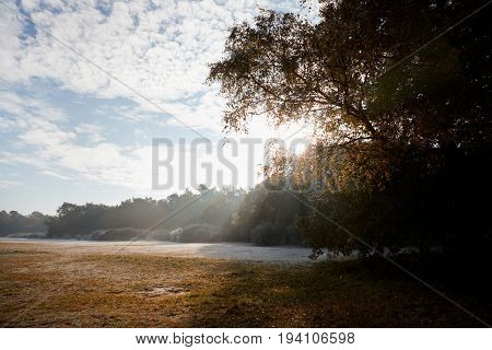 Burnham Beeches, UK - 7 November 2016: Frosty Autumn Landscape At Burnham Beeches In Buckinghamshire