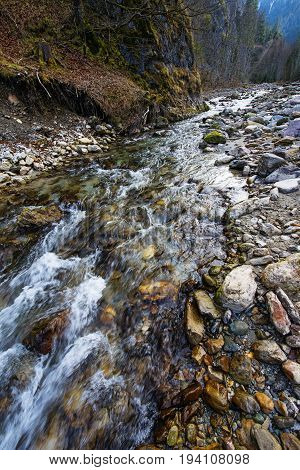 river in Alps - National park Kalkalpen