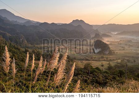 scenic mountain landscape and fog on the hill in Phu Lung ka forest park during the sunrise natural landmark located in Phayao province Thailand