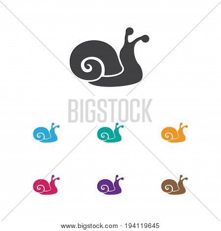 Vector Illustration Of Zoology Symbol On Snail Icon. Premium Quality Isolated Escargot Element In Trendy Flat Style.