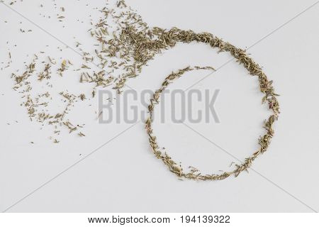 Swirling Thyme On A White Plain Background