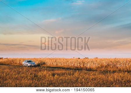 Gomel Belarus - September 14, 2016: Volkswagen Polo Vento Car Sedan Parking Near Country Road In Autumn Field. Sunset Sunrise Sky On A Background In Sunny Evening.