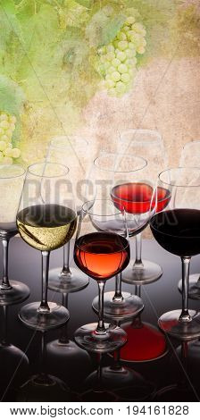 Wine tasting in wine yard, set of glasses with red, white and rose wine close up, grapevine in background