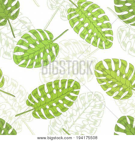 Monstera palm leaf graphic green color seamless pattern sketch illustration vector