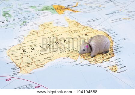 MAGNITOGORSK, RUSSIA - JUNE 09, 2017: A concept photo with a toy wombat on the map. Illustrative editorial.
