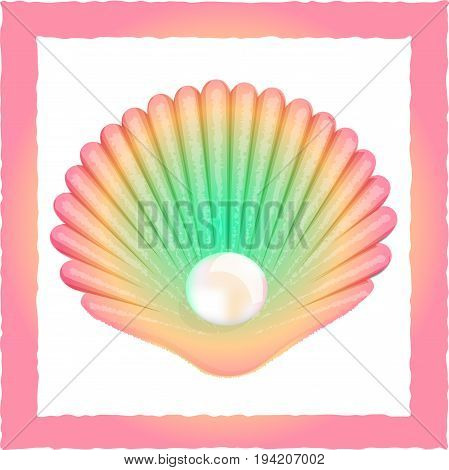 Vector image Sea shell with pearl on white background