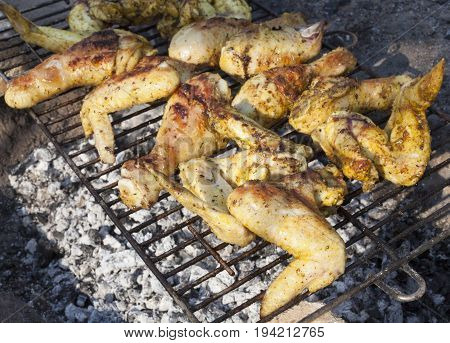 Chicken legs and wings baked on the grill.