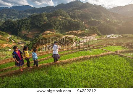 Mu Cang Chai, VietNam, 24 May 2017 : Farmers of Hmong preparing transplant in water season, Mu Cang Chai , Vietnam