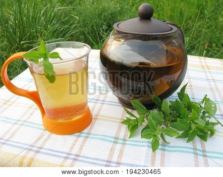 herbal mint tea and teapot picnic outdoors