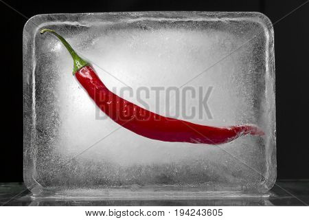 Chili frozen in a cube of ice