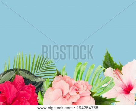 tropical fresh flowers and leaves - border of fresh multicilored hibiscus flowers and exotic palm leaves on blue