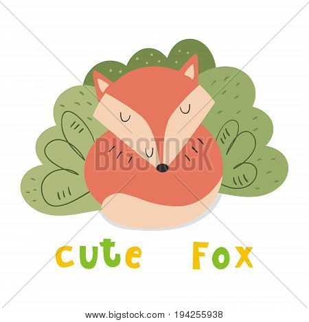 Hand drawn vector illustration with Cute vector Fox.