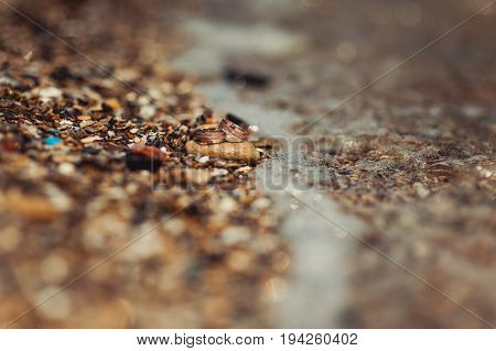 Gold wedding rings on the rocks. background sea
