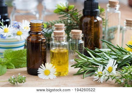Bottles of essential oil with a selection of flowers and herbs on a wooden background - melissa (lemon balm) rosemary thyme spruce